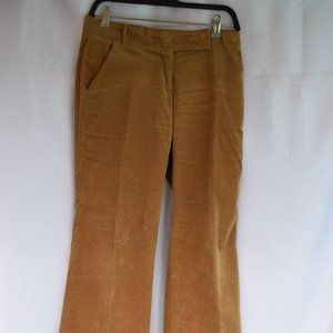 ZARA Basic Corduroy/Velvet Pants in Tan